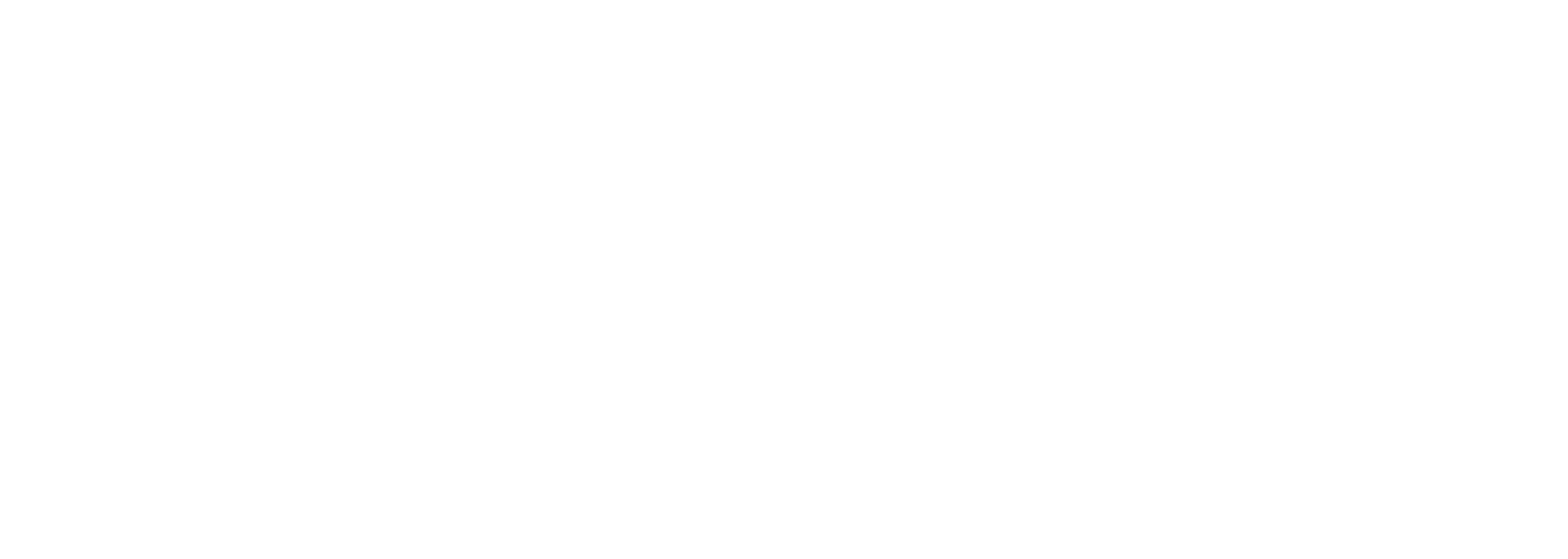 Fairchild Cinemas Logo
