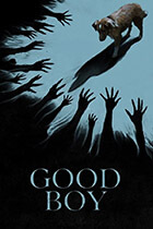 GOOD BOY poster