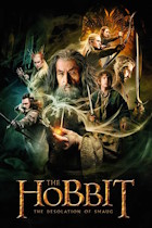 HOBBIT DESOLATION SMAUG poster