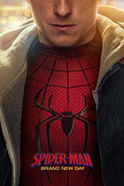 SPIDER MAN BND SENS poster